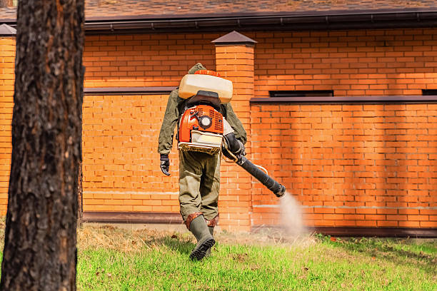 Bed Bug Clearance Verification and Documentation in Fairmont